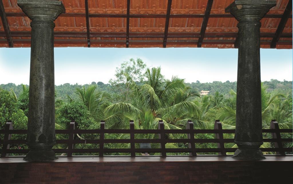 Amrutham Ayurvedic Village Resort Kovalam Pokój zdjęcie